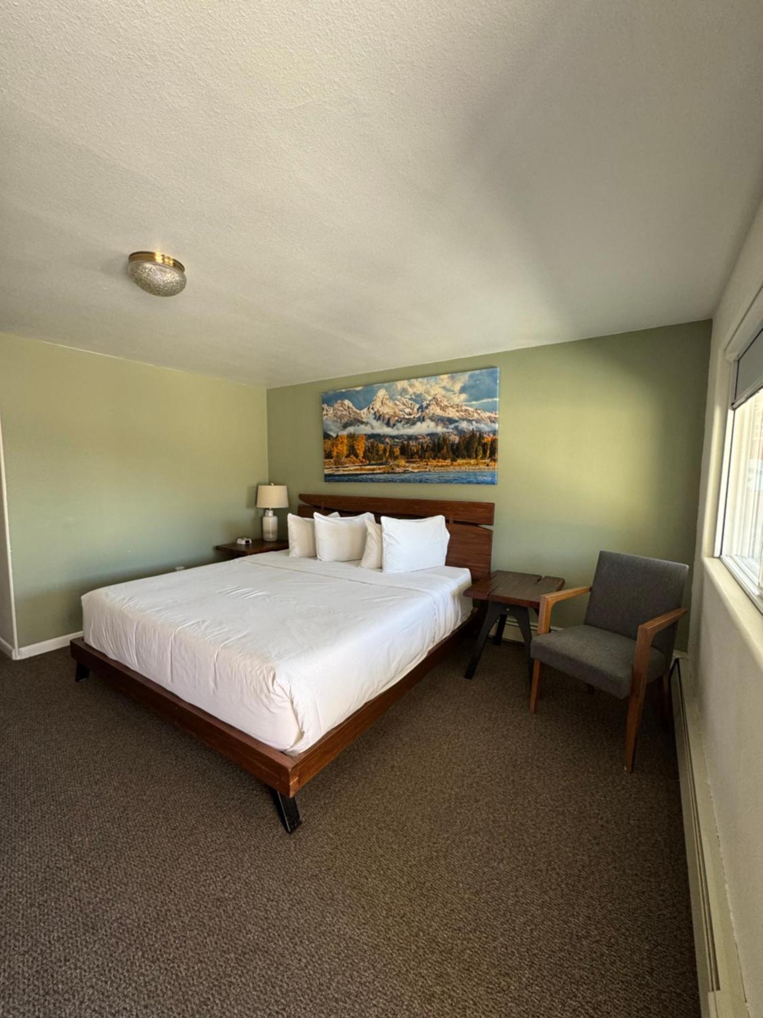 Sage Motel Newcastle Exterior photo